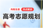 国考岗位16702:1，2025上岸更难？考公从来不是个人独行，而是家长智慧的较量