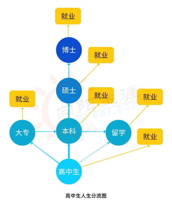 高中人生分流图