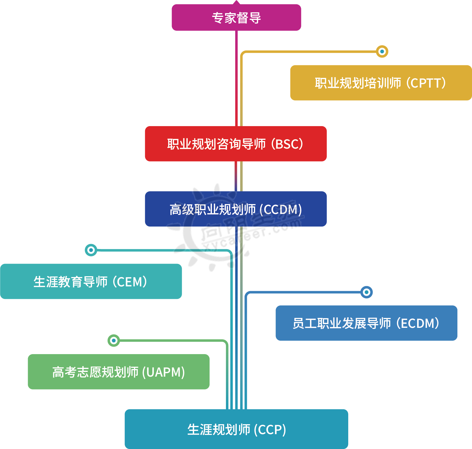 向阳生涯专业进阶体系