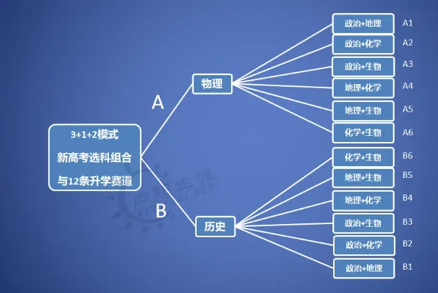 3+1+2的选科组合