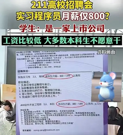 211程序员起薪仅800，计算机就业率暴跌，谁还敢报！